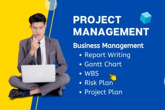 write ms project management report, risk business plan, wbs gantt chart, charter