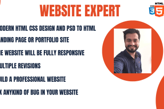 provide professional business website creation and reliable web modification