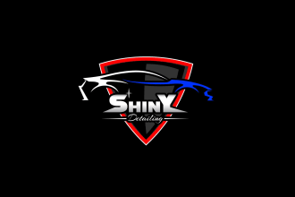 do design professional racing car and automotive logo