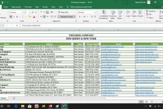 do any data entry, web research, data collection, copy paste job