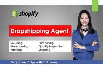 be your shopify dropshipping agent