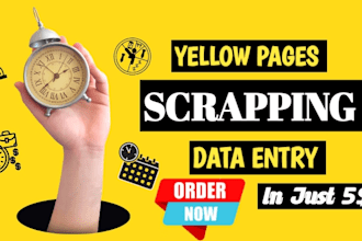 do data entry, scrape yellow pages,email scrap with accuracy