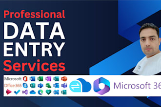 do data entry, web research, ms excel data entry, data collection, copy paste