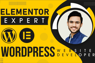 be your elementor expert for wordpress and fix website issue