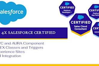 be your  professional salesforce developer