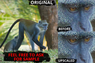 upscale and increase image resolution to HD without losing quality using ai