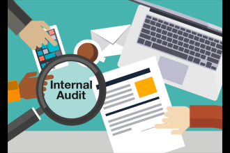 perform internal external and interim audit of financial statements