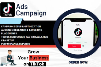 manage and optimize your tiktok ads