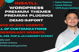 installation wordpress, theme customization and demo import
