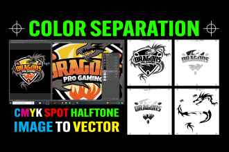 fix, vectorize, dtf, halftone cmyk, clean up, color separation for screen print