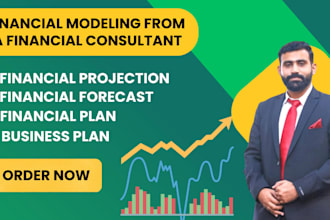 prepare financial projections, forecast and financial modeling