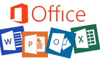 do any kind of ms office work, word, excel, ppt