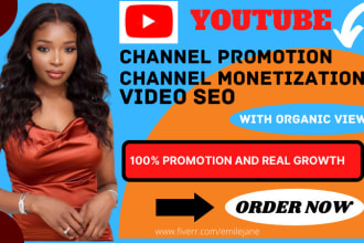 do youtube promotion channel monetization and video SEO
