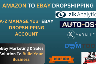 do manage your ebay seller account for dropshipping