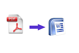 do 1000 words from pdf to word document