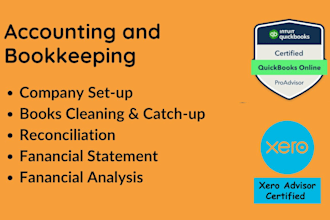 be your bookkeeper or accountant using quickbooks xero wave app