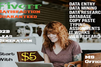 do efficient data entry, web research and excel work