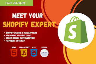 resolve shopify website bugs, customization and meta fields