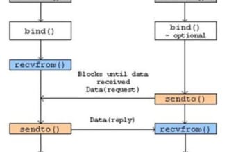 do socket programming udp tcp in cpp java python javascript