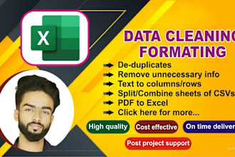 format, visualize and excel data cleaning