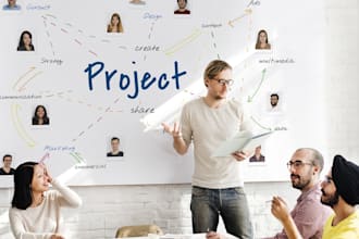 be technical project manager and solution architect