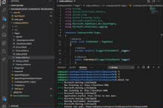 do development in asp net mvc I core I web api I for free