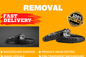 do perfect background remove within 12 hours delivery