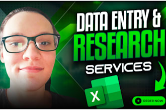 do excel data entry, data mining, web research, and copy paste tasks