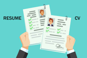 create a professional curriculum vitae to get the job of your dream