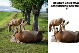 remove your image background, resize your images