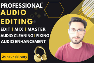 professionally enhance, clean, and fix your audio