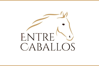 design creative dog, pet, cat or animal logo