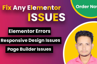 fix elementor error, responsive issues, header footer issues, page builder error