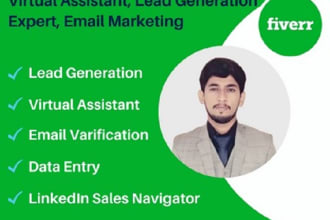 do lead generations, b2b leads, data mining,data analyst