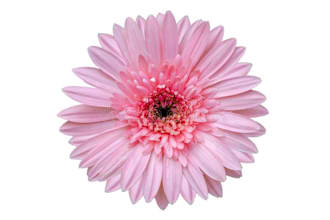 write british english articles for you