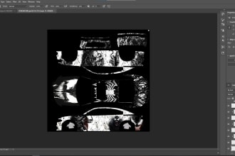 design custom livery of police, ems, cars of fivem