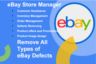 manage ebay store remove defects and virtual assistant