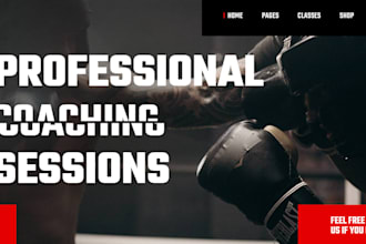 design and develop a stunning wordpress full website