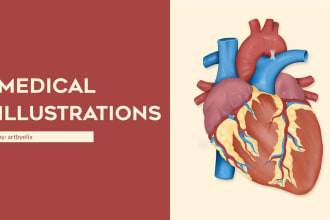 draw medical and anatomy illustrations