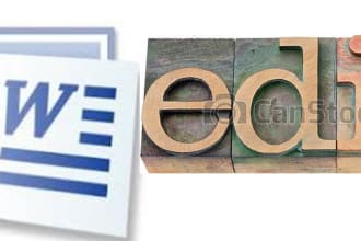 edit and format word document within 3 days