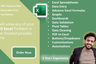 be your microsoft excel expert and do excel, google sheet, formula, macro, etc
