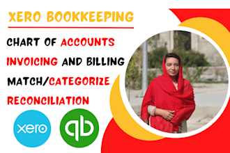 do professional xero bookkeeping