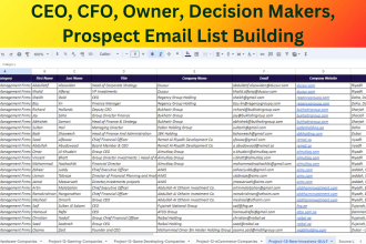 ceo, cfo, owner decision makers prospect email list building