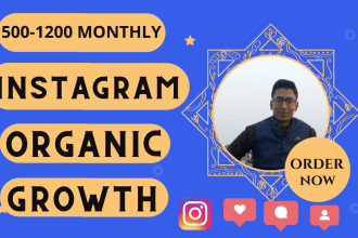 do instagram promotion for fast organic growth