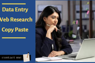 be your virtual assistant for data entry for 8 hours