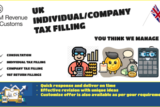 prepare and file UK company accounts and tax return