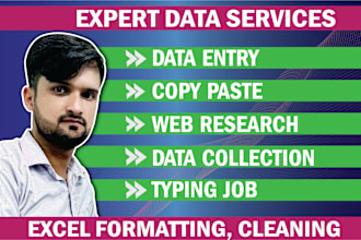 do ms excel data entry, copy paste, web research, data collection, typing jobs