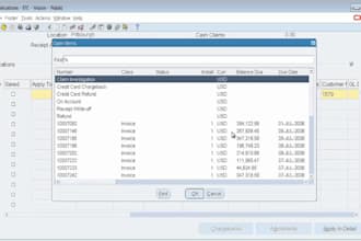 do oracle erp consulting,financial accountancy and management, microsoft skills