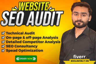 provide a professional SEO audit report and website analysis
