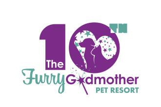 design an outstanding anniversary logo with fast delivery